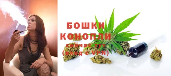 амф Новодвинск
