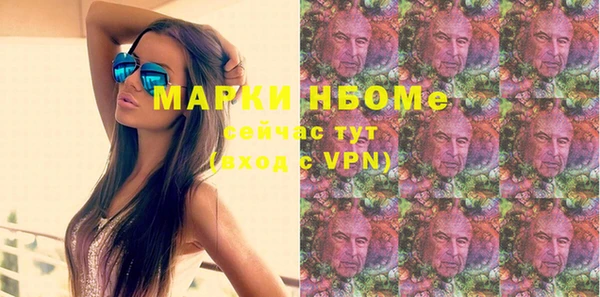 амф Новодвинск