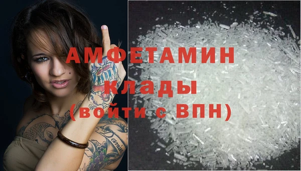 амф Новодвинск