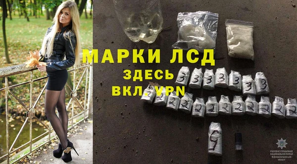 амф Новодвинск