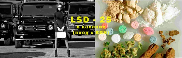 амф Новодвинск